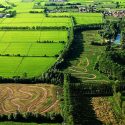 I prodotti dell’agricoltura e la gastronomia tipica di Roma e del Lazio