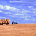 La modernizzazione dell’agricoltura e l’origine della “filiera lunga”