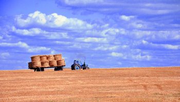 La modernizzazione dell’agricoltura e l’origine della “filiera lunga”