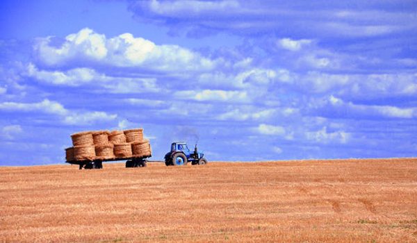 La modernizzazione dell’agricoltura e l’origine della “filiera lunga”