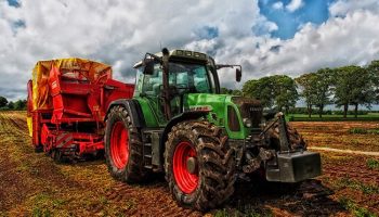 La filiera corta - Vantaggi e svantaggi della modernizzazione in agricoltura